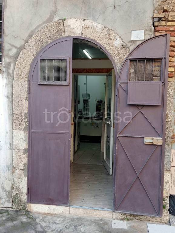 immagine annuncio 9 di 14