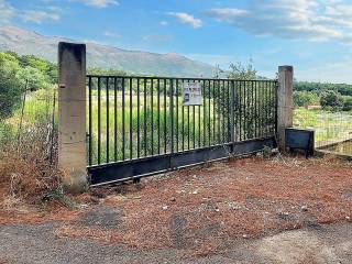 Terreno agricolo all'asta ad albenga strada morteo, n. snc