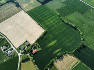 Terreno agricolo in vendita a grisignano di zocco 