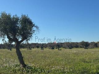 Terreno residenziale in vendita a carovigno 