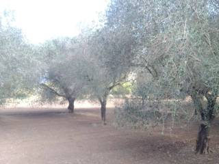 Terreno agricolo in vendita a caserta garzano-località petrara s.n.c.