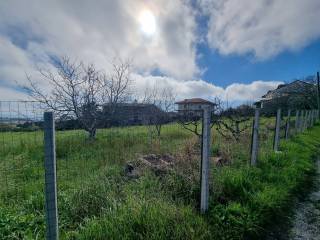 Terreno residenziale in vendita a stalettì via chiesa madre