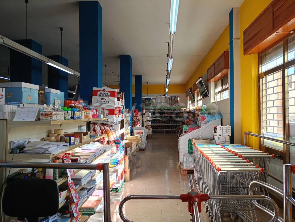 immagine annuncio 4 di 12