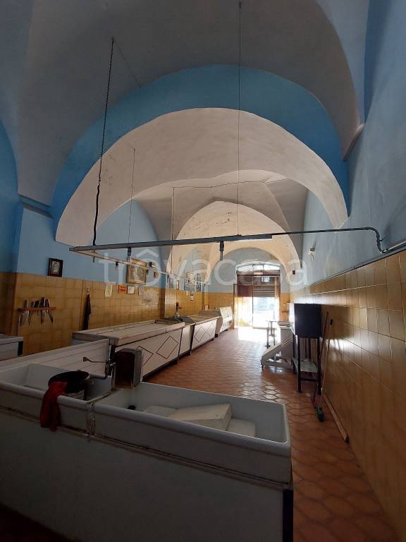 immagine annuncio 6 di 14