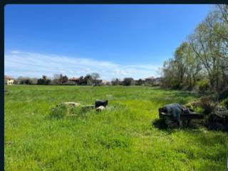 Laboratorio all'asta a tuoro sul trasimeno via firenze