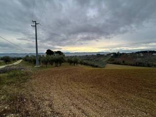 Terreno agricolo in vendita a spoltore 