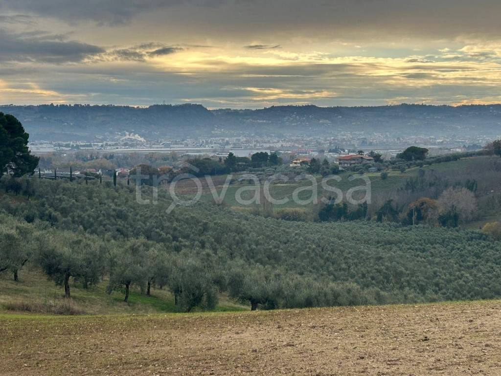 immagine annuncio 3 di 8
