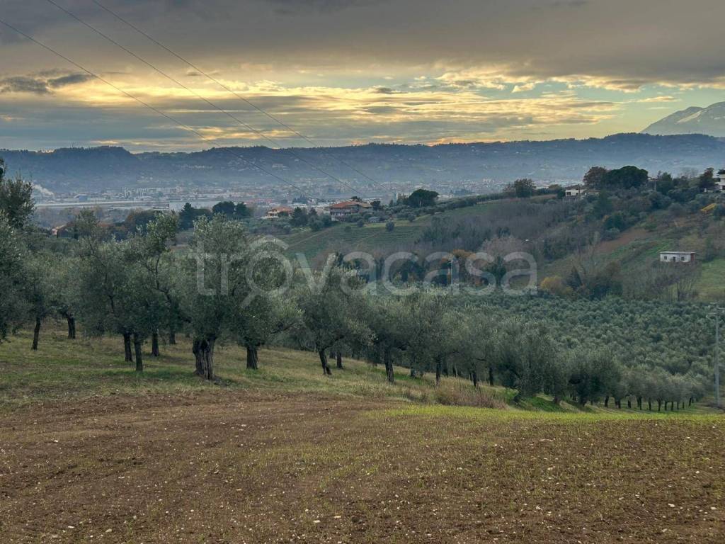 immagine annuncio 5 di 8