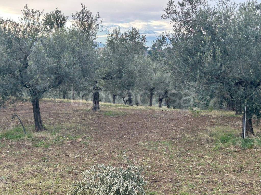 immagine annuncio 4 di 8