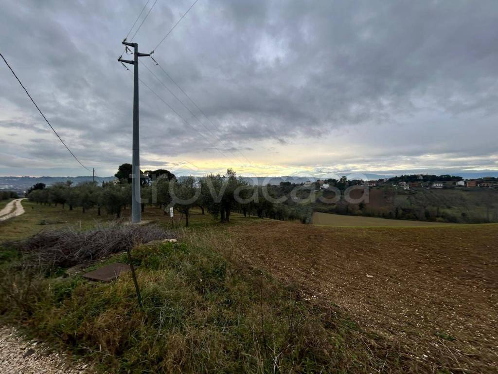 immagine annuncio 7 di 8