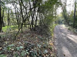 Terreno agricolo all'asta a robecchetto con induno strada vicinale, 1