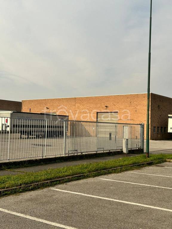 immagine annuncio 3 di 11