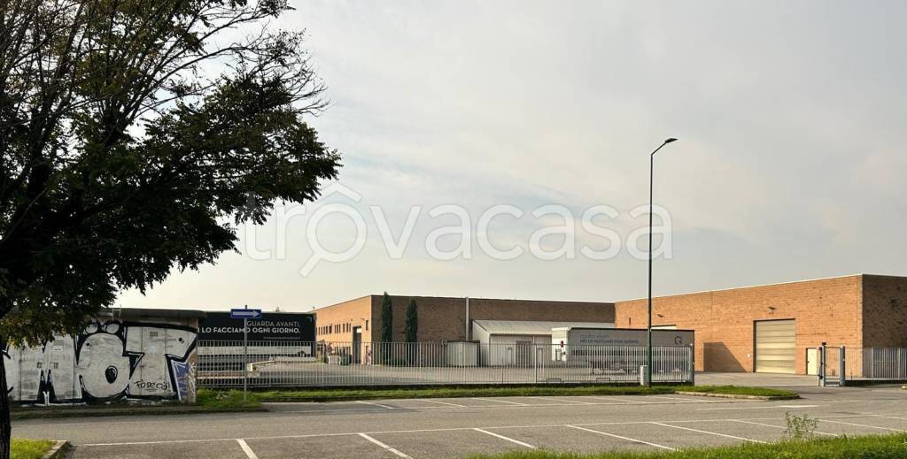 immagine annuncio 2 di 11