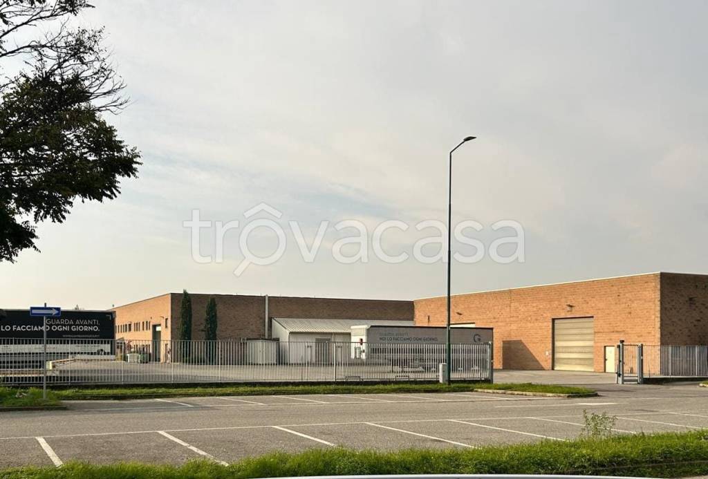 immagine annuncio 1 di 11