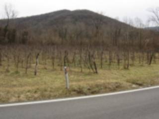 Terreno agricolo all'asta a san pietro al natisone sp45