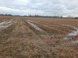 Terreno agricolo all'asta a parona accesso via pubblica marinino, snc