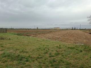 Terreno agricolo all'asta a parona accesso da strada agricola, snc