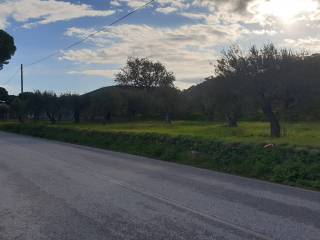 Terreno agricolo in vendita a messina strada statale spartà