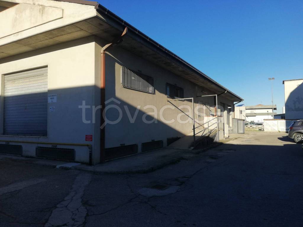 immagine annuncio 13 di 15