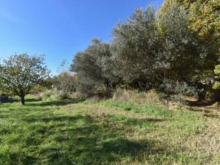 Terreno agricolo in vendita a trieste borgo santa maria maddalena inferiore, 559