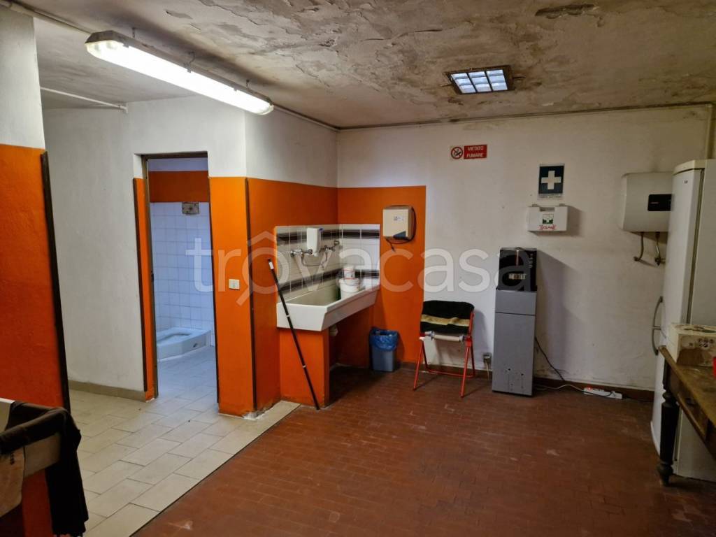 immagine annuncio 6 di 13
