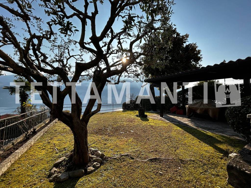 immagine annuncio 2 di 14