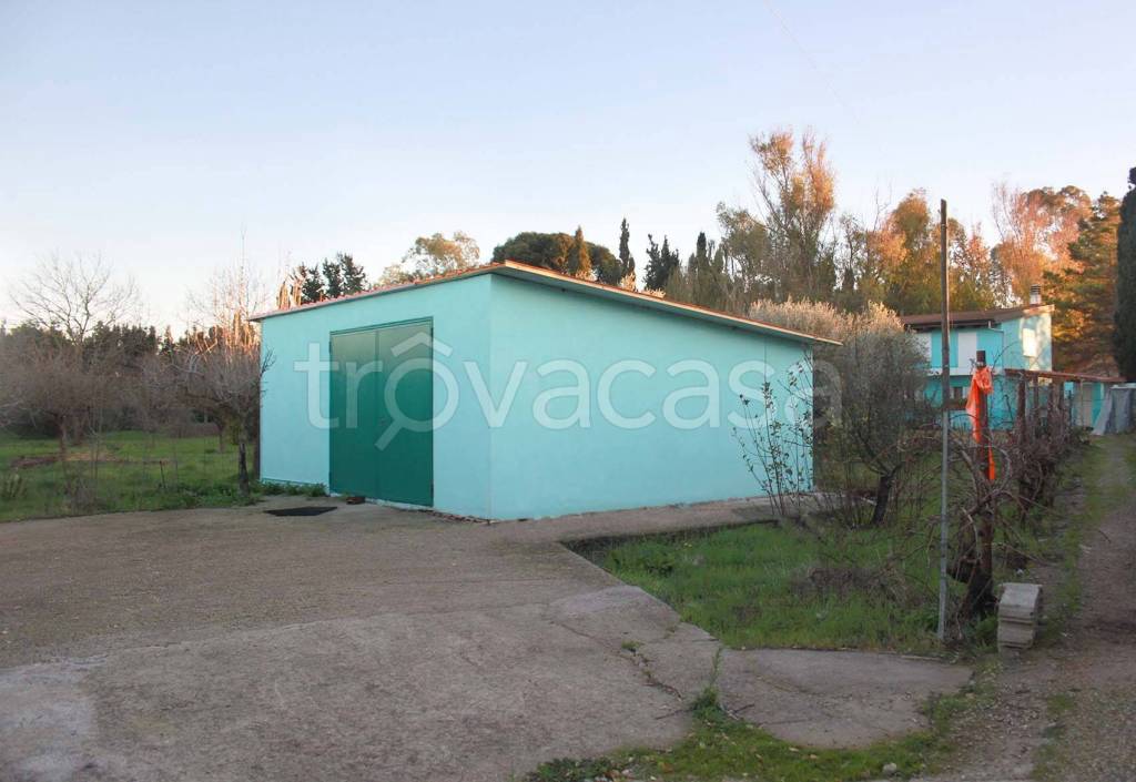 immagine annuncio 9 di 13