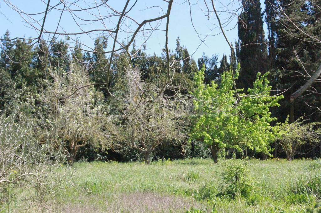 immagine annuncio 11 di 13