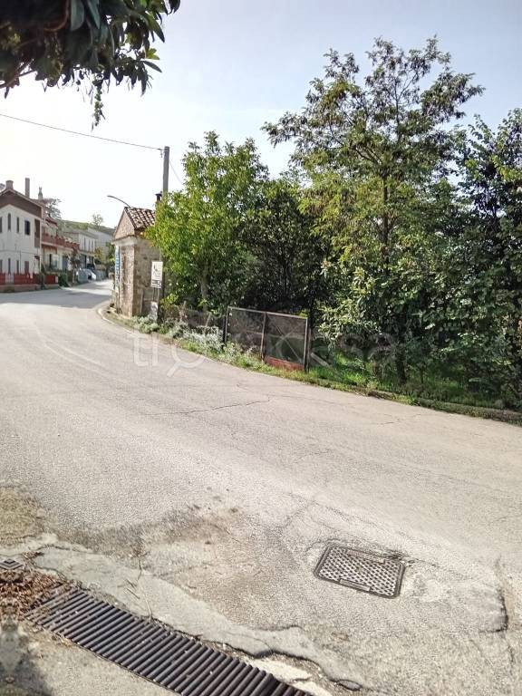 immagine annuncio 7 di 11
