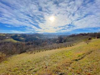 Terreno agricolo in vendita a briaglia via roma 1/frocco