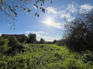 Terreno agricolo in vendita a san gregorio di catania via cristoforo colombo