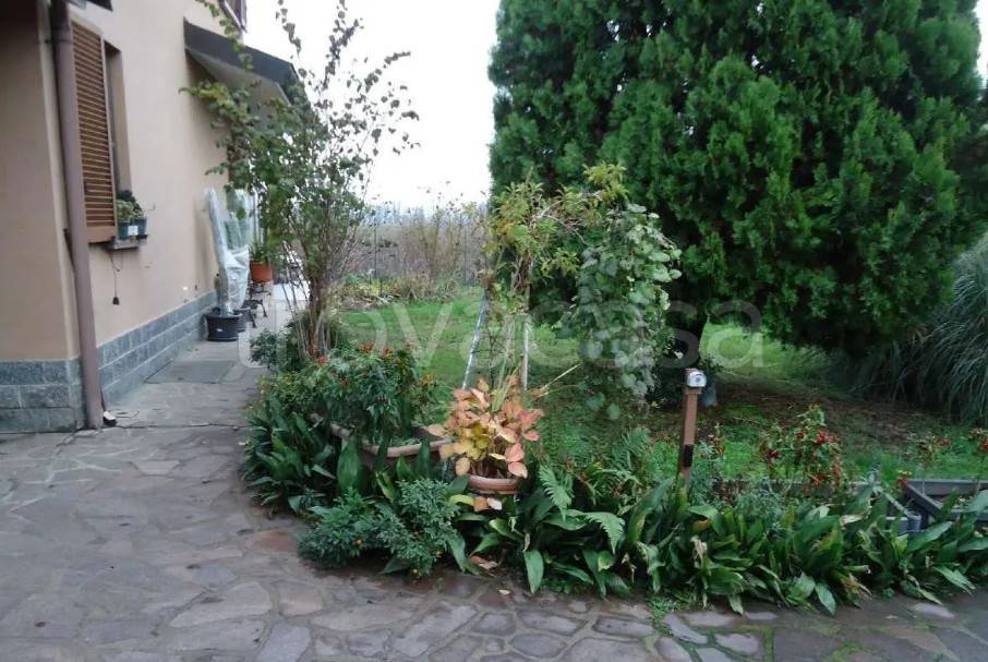 immagine annuncio 2 di 11