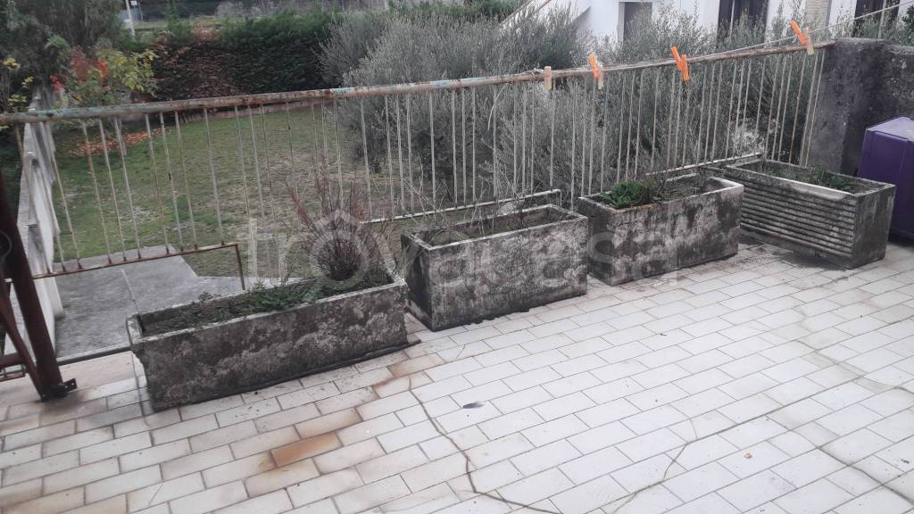 immagine annuncio 7 di 8