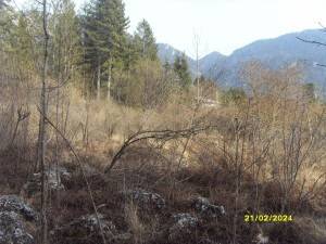 Terreno residenziale all'asta a castione della presolana via boschetto - 24020 castione della presolana (bg)