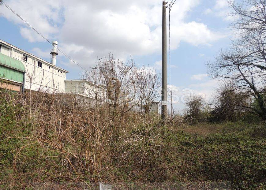 immagine annuncio 2 di 7