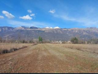 Terreno agricolo all'asta ad aviano sp7