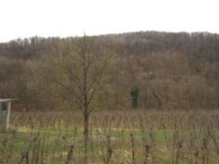 Terreno agricolo all'asta a san pietro al natisone località san pietro al natisone