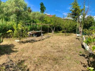 Terreno agricolo in affitto a imperia via labbe