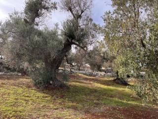 Terreno residenziale in vendita a carovigno via specchia