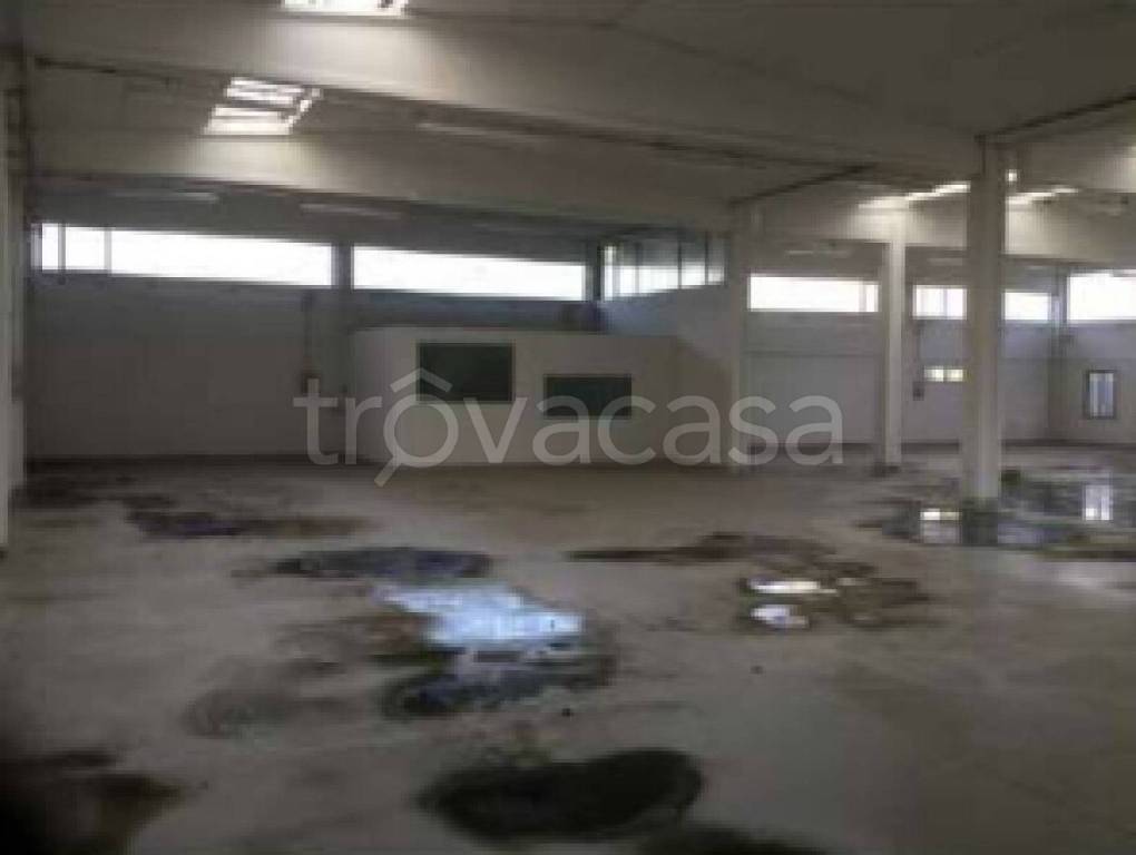 immagine annuncio 9 di 13