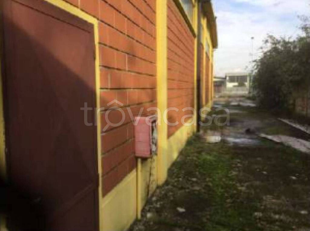 immagine annuncio 3 di 13