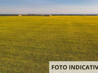 Terreno agricolo all'asta a bagnolo in piano via casaletto