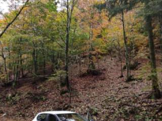 Terreno agricolo all'asta a valbrenta via col moschin