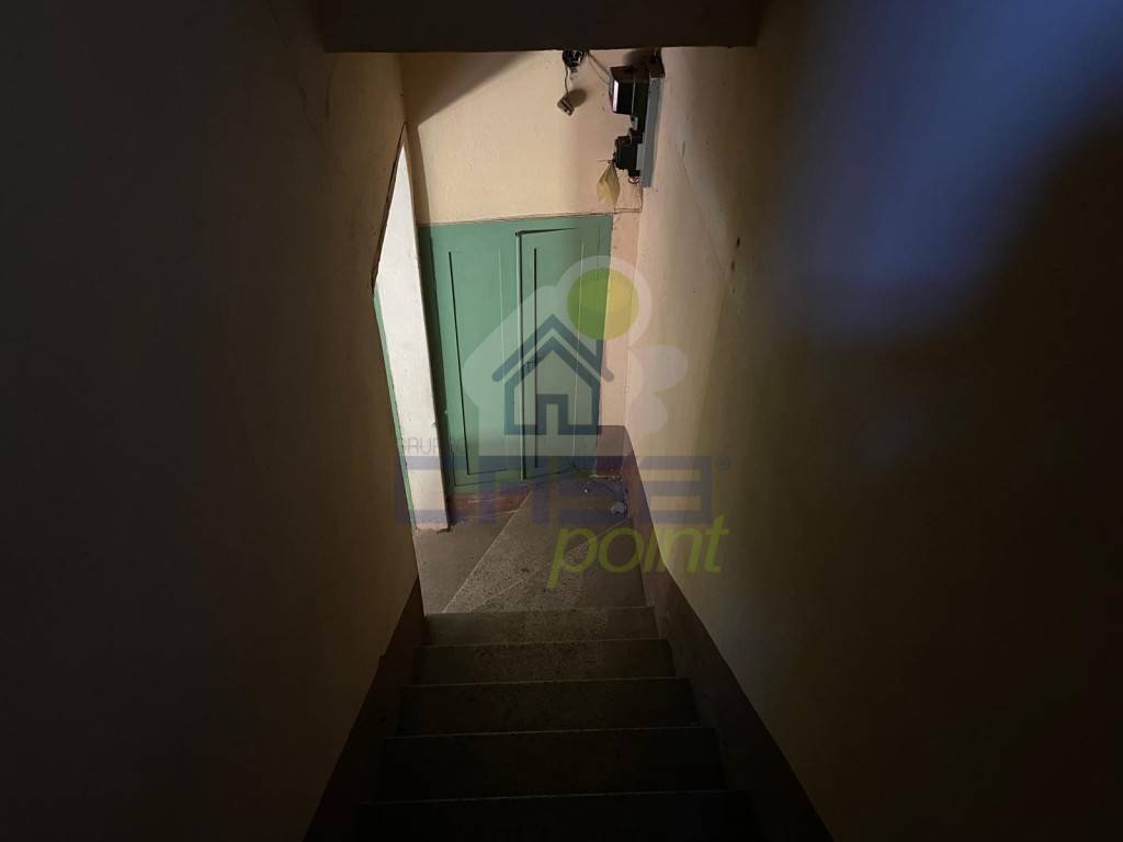 immagine annuncio 9 di 14