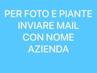 Hobby/tempo libero in in affitto da privato a roma piazza istria, 15e