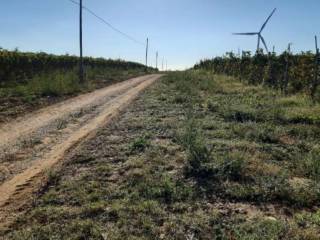 Terreno agricolo all'asta a montescaglioso sp211