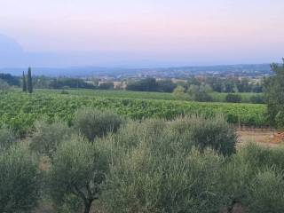 Casale in vendita a montepulciano via di ascianello