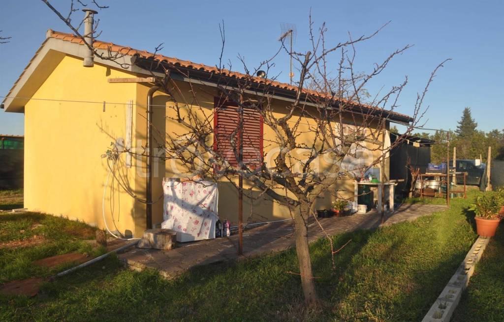 immagine annuncio 8 di 14