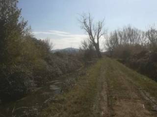 Terreno agricolo all'asta a fondi tra via san giovanni e via lagurio