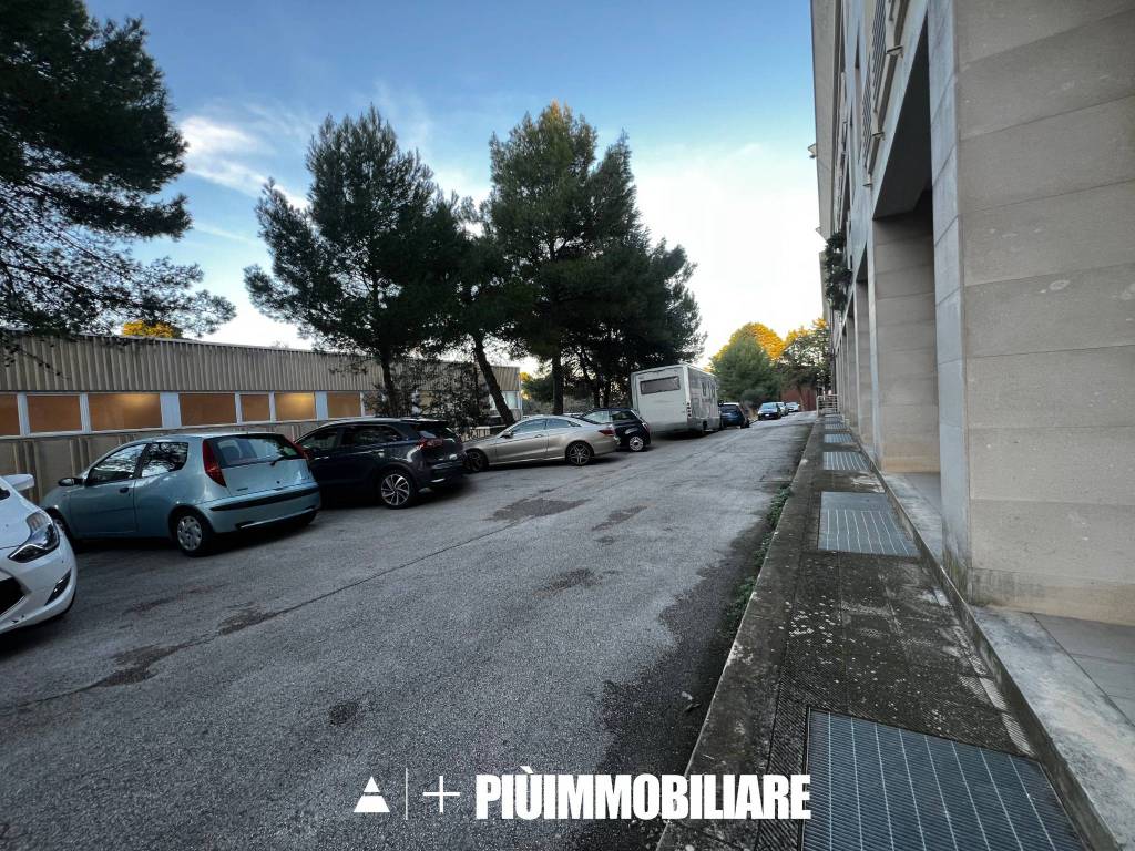 immagine annuncio 13 di 14